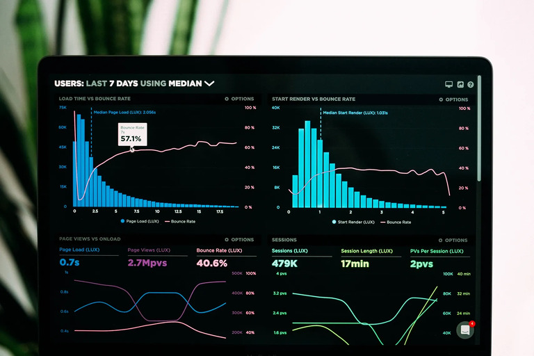 Data Analyst